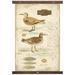 Highland Dunes Cotton Sandpiper Wall Hanging w/ Rod Included Metal in Brown/White | 60 H x 40 W in | Wayfair 45F1658AEC8F4B55B8EBE990B0D62A34