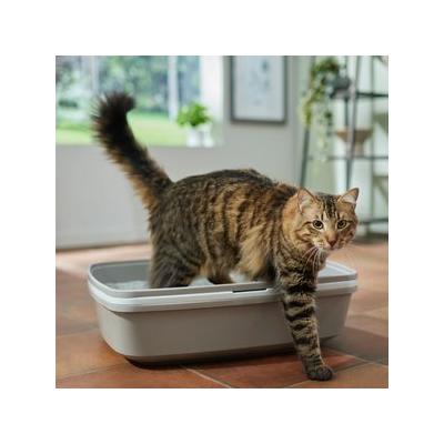 Frisco Sifting Cat Litter Box, Large, 22-in