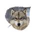 Loon Peak® Amber Eyes Wolf Aspen Leaf Wall Décor Metal in Gray/White | 6 H x 7 W x 1 D in | Wayfair 66CFD1BFD24441678D5E1CE5908EB381