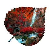 Loon Peak® Red Falls Aspen Leaf Wall Décor Metal in Gray/Red | 15 H x 18 W x 1 D in | Wayfair 9A6818AF43A3436CAAE198431A2D8B0E