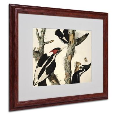 Ivory-Billed Woodpecker Matted Artwork by John James Audubon with Wood Frame, 16 by 20-Inch