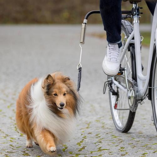 Trixie Biker-Set de Luxe Fahrradhalter für Hunde