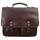 Oregon Ducks Sabino Canyon Briefcase