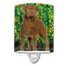 Caroline's Treasures Chesapeake Bay Retriever Ceramic Night Light Ceramic in Black/Brown | 6 H x 4 W x 3 D in | Wayfair SS8969CNL