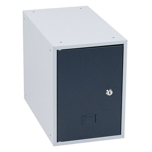 Casier Individuel Hxlxp 350x250x450 Gris/anthracite - Manutan Expert