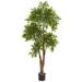 Bayou Breeze 69in. Ruscus Artificial Tree UV Resistant (Indoor/Outdoor) Silk/Plastic | 69 H x 26 W x 21 D in | Wayfair