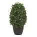 Charlton Home® 13in. Boxwood Topiary Artificial Plant UV Resistant (Indoor/Outdoor) Silk/Plastic | 13 H x 6 W x 6 D in | Wayfair