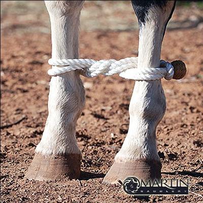Martin Saddlery Rope Hobble with Rawhide Button