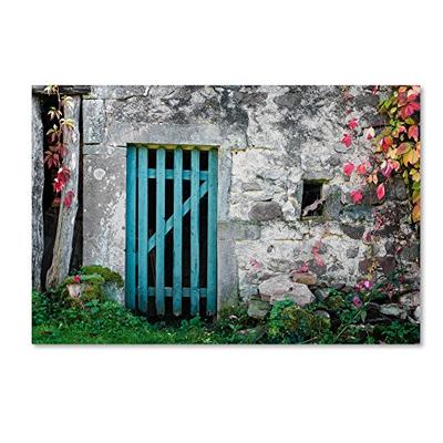 The Old Wooden Door by Philippe Sainte-Laudy Hanging Art Piece, 16"x24" Canvas Wall Art