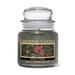 A Cheerful Candle LLC Holly Tree Scented Jar Candle Paraffin in Green | 7 H x 4 W x 4 D in | Wayfair CS100