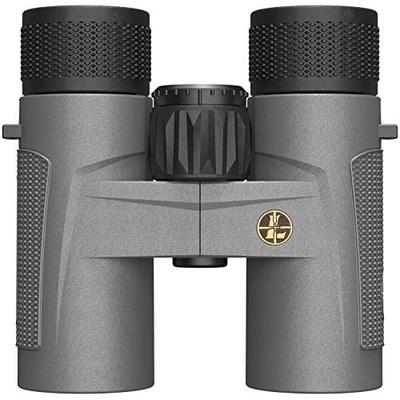 Leupold 0603-2238 172658 Bx-4 Pro Guide HD