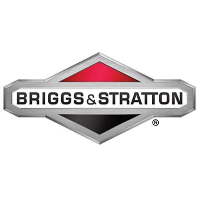 Briggs & Stratton Part 311389GS -FILTER-FOAM