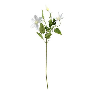 Vickerman 523582-25" White Clematis Stem 6/Pk (FD180411) Home Office Flower Sprays