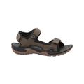 Jack Wolfskin Lakewood Cruise Sandal M, Herren Trekking- & Wandersandalen, 40.5 EU