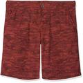 Columbia Herren Washed Out Novelty II Shorts, Tapestry, Textu, 38