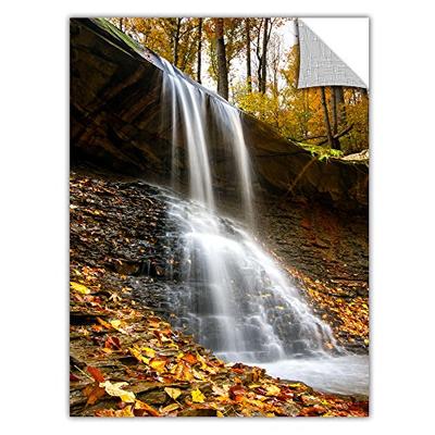 ArtWall 'Blue Hen Falls 2' Removable Wall Art by Cody York, 24 by 36-Inch