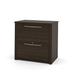 Scranton & Co 2 Drawer Lateral File Storage Cabinet in Dark Chocolate