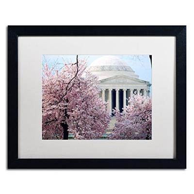 Cherry Blossoms 2014-7 White Matte Artwork by CATeyes, 16 by 20-Inch, Black Frame