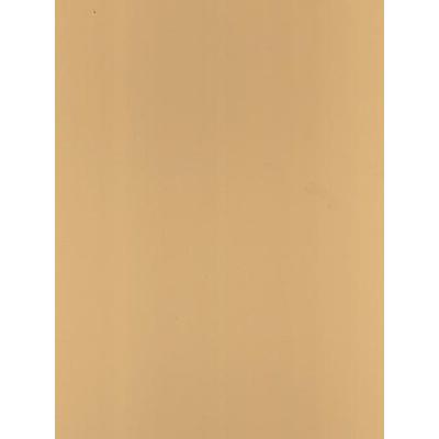 Canson Mi-Teintes Mat Board champagne 16 in. x 20 in. [PACK OF 5 ]