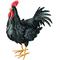 Regal Art &Gift Black Rooster Decor, Large