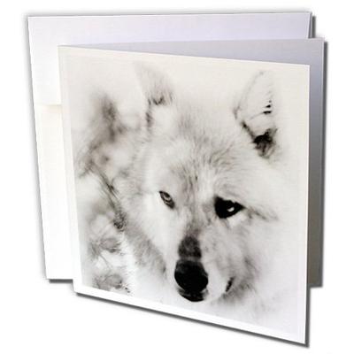 A photo art of a wolf with special effects - Greeting Cards, 6 x 6 inches, set of 6 (gc_160960_1)