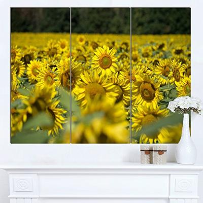 Designart Bright Yellow Sunflowers Field - Modern Floral Metal Wall Art 28'' H x 36'' W x 1'' D 3P