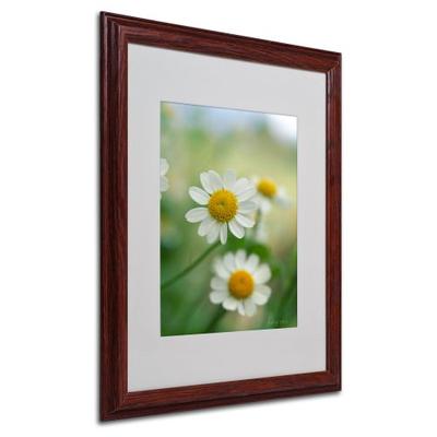 Chamomile by Kathy Yates Canvas Artwork in Wood Frame, 16 by 20-Inch
