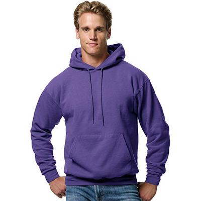 Hanes ComfortBlend EcoSmart Pullover Hoodie Sweatshirt, Purple, small